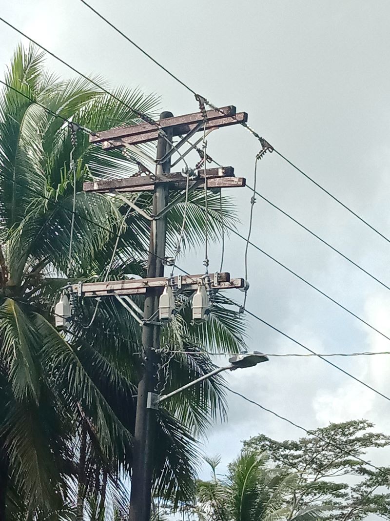 The TripSaver II recloser is helping PUC prevent nuisance outages caused by common problems, such as vegetation overgrowth.