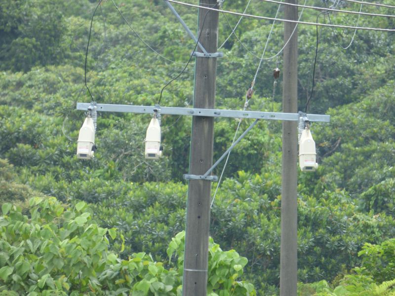 Results of 100 Tripsaver II Reclosers