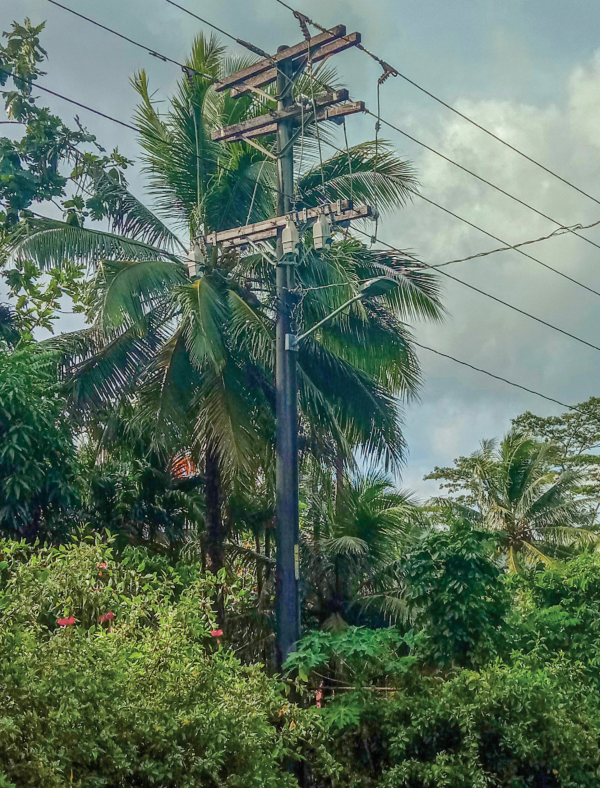 Tripsaver II reclosers installed in front of palm trees